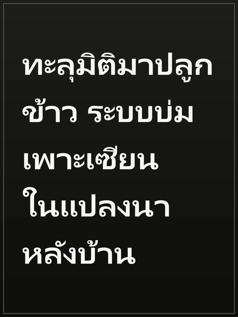 ทะลุมิติมาปลูกข้าว ระบบบ่มเพาะเซียนในแปลงนาหลังบ้าน