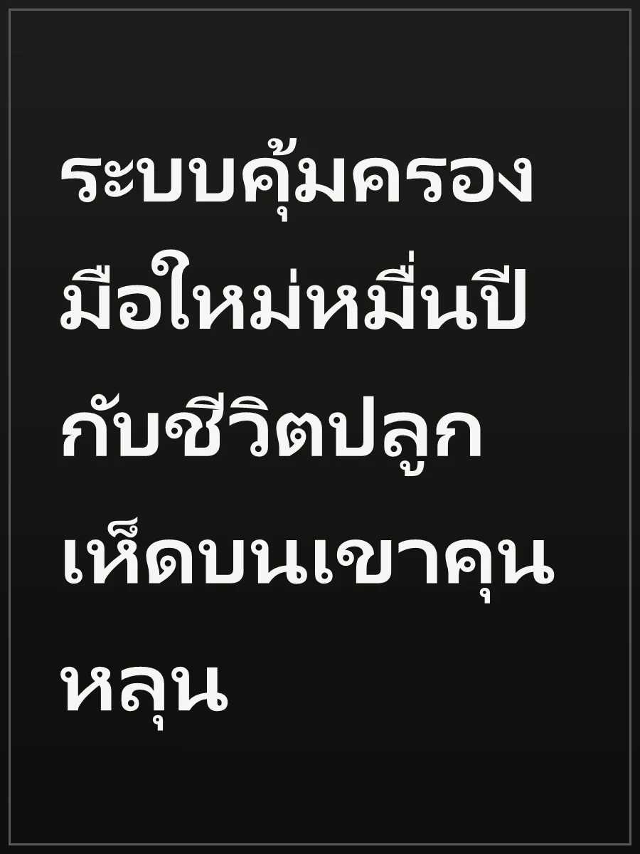 ระบบคุ้มครองมือใหม่หมื่นปี กับชีวิตปลูกเห็ดบนเขาคุนหลุน