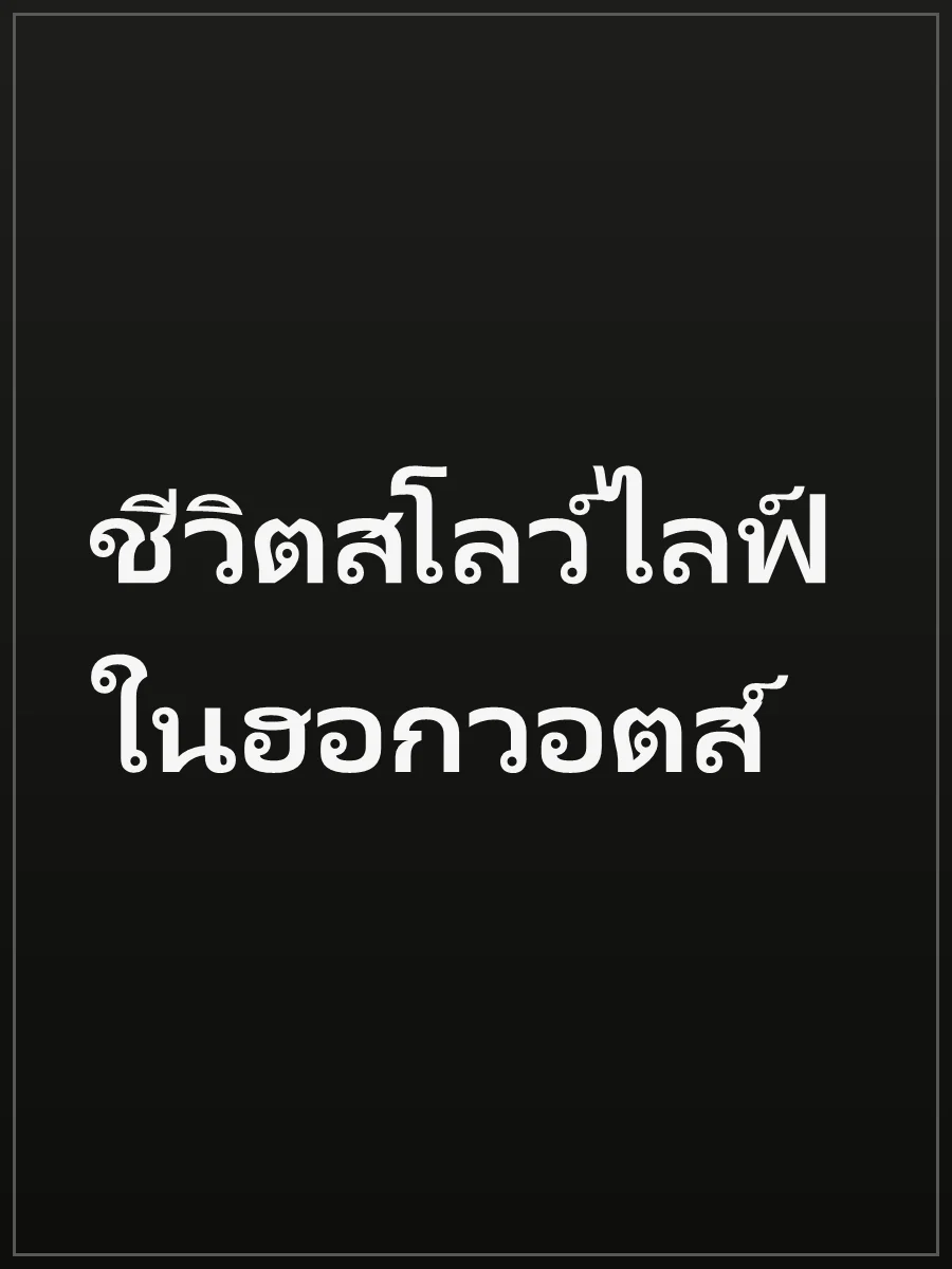 ชีวิตสโลว์ไลฟ์ในฮอกวอตส์