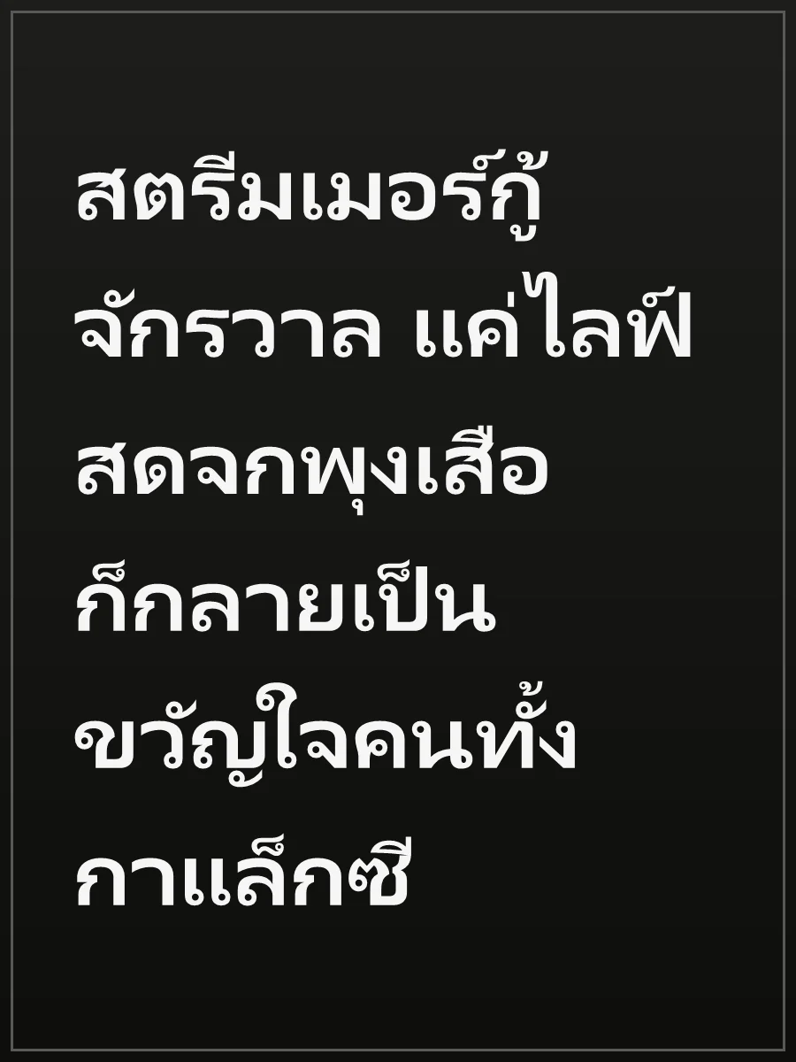 สตรีมเมอร์กู้จักรวาล แค่ไลฟ์สดจกพุงเสือ ก็กลายเป็นขวัญใจคนทั้งกาแล็กซี