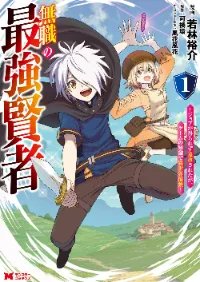 THE STRONGEST SAGE WITHOUT A JOB