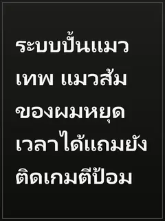 ระบบปั้นแมวเทพ แมวส้มของผมหยุดเวลาได้แถมยังติดเกมตีป้อม