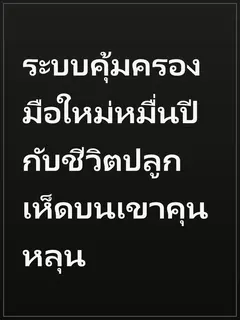 ระบบคุ้มครองมือใหม่หมื่นปี กับชีวิตปลูกเห็ดบนเขาคุนหลุน