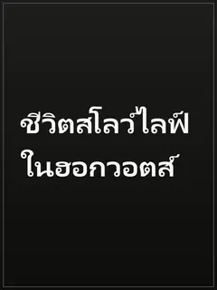 ชีวิตสโลว์ไลฟ์ในฮอกวอตส์