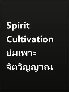 Spirit Cultivation บ่มเพาะจิตวิญญาณ