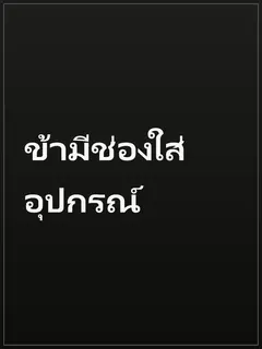 ข้ามีช่องใส่อุปกรณ์