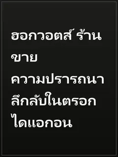 ฮอกวอตส์ ร้านขายความปรารถนาลึกลับในตรอกไดแอกอน