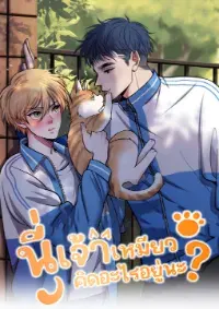 นี่เจ้าเหมียวคิดอะไรอยู่นะ?(Bl)