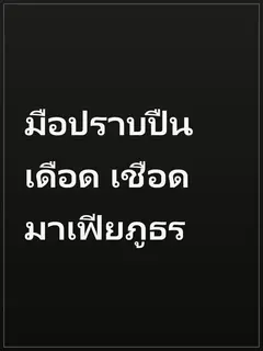 มือปราบปืนเดือด เชือดมาเฟียภูธร