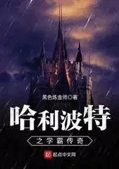 The Legend of Harry Potter Schoolmaster (นิยายแปล)