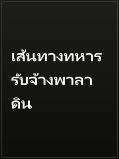 เส้นทางทหารรับจ้างพาลาดิน