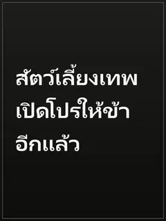 สัตว์เลี้ยงเทพเปิดโปรให้ข้าอีกแล้ว