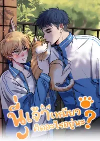 นี่เจ้าเหมียวคิดอะไรอยู่นะ?(Bl)