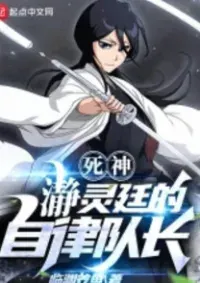 Bleach: หัวหน้าหน่วยกองวินัยของเซย์เรย์เทย์